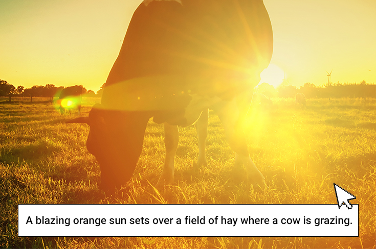 A blazing orange sun sets over a field of hay where two cows are grazing