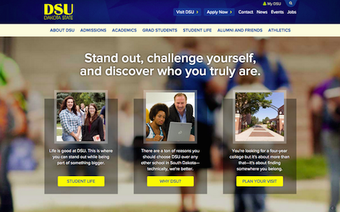 DSU landing page