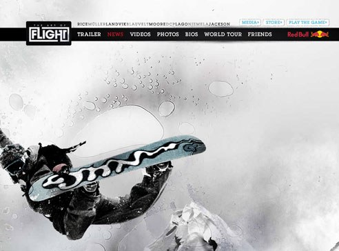 The Art of Flight