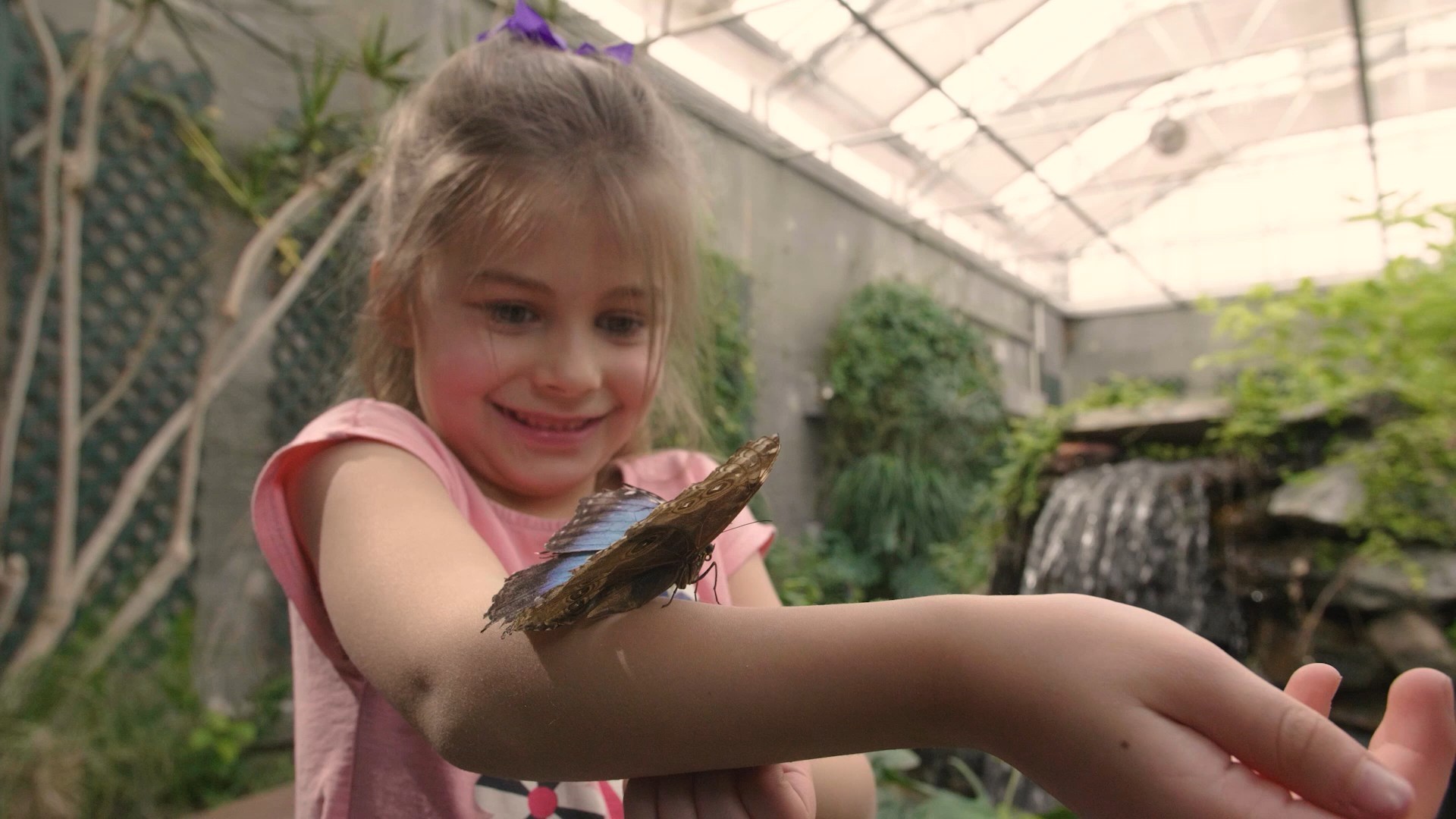 The girl and butterfly image chosen to build the cinemagraph.
