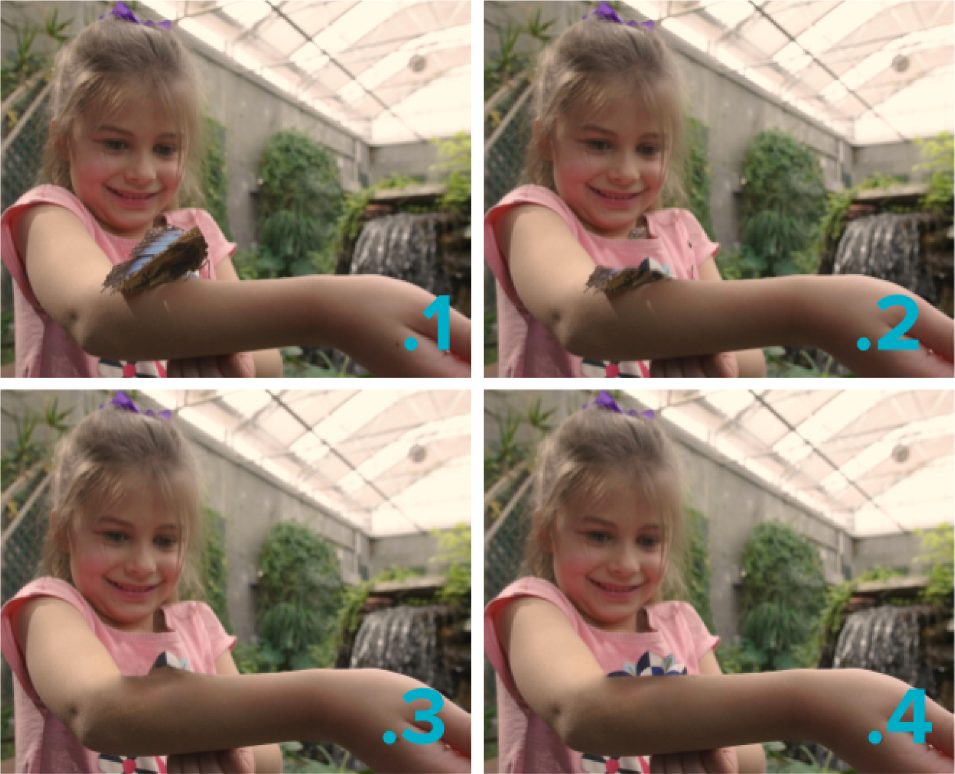 The process of painting the butterfly out of the image.